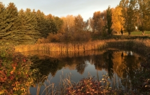Autumn Landscapes
