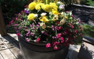 Summer Planters