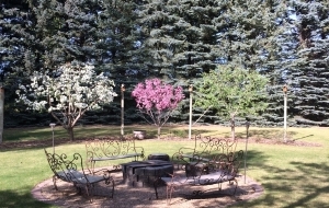 Summer Landscapes