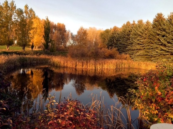autumn