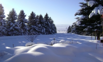 DSC00706