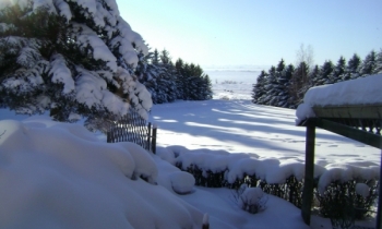 DSC00713